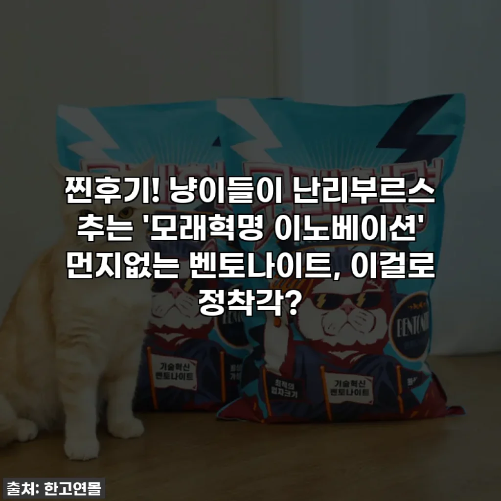 찐후기! 냥이들이 난리부르스 추는 '모래혁명 이노베이션' 먼지없는 벤토나이트, 이걸로 정착각?