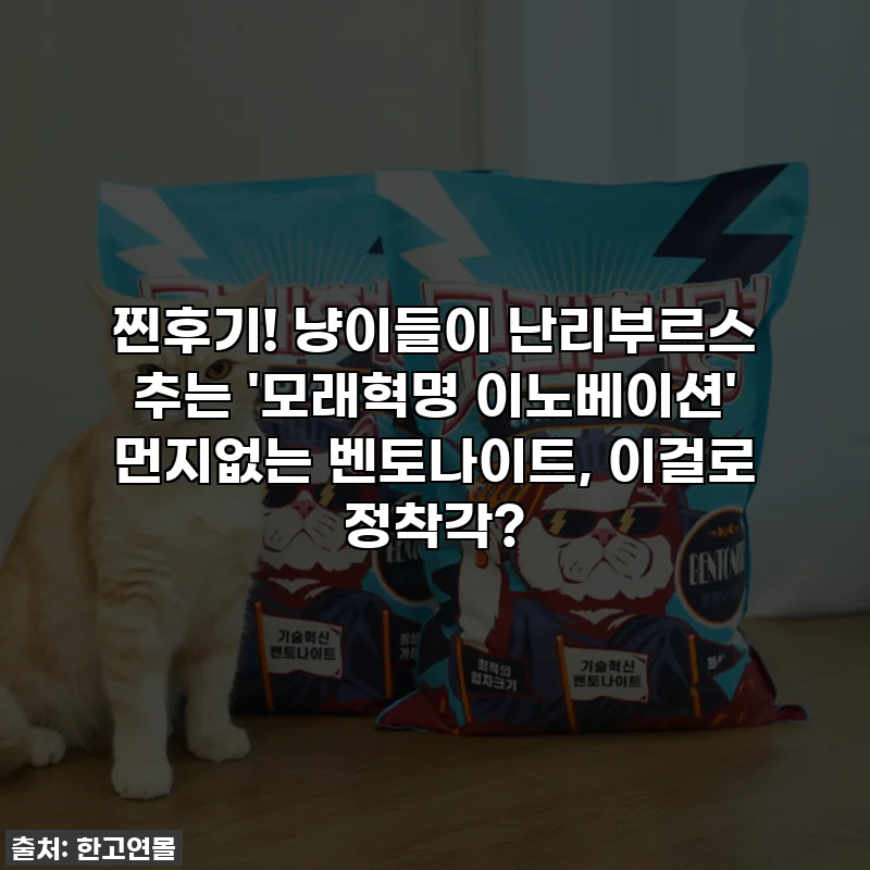 찐후기! 냥이들이 난리부르스 추는 '모래혁명 이노베이션' 먼지없는 벤토나이트, 이걸로 정착각?