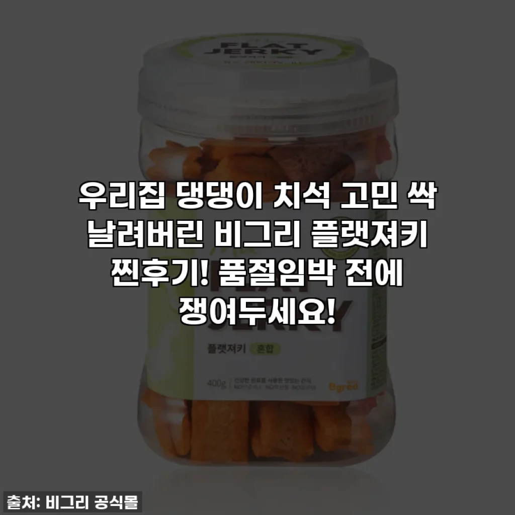 우리집 댕댕이 치석 고민 싹 날려버린 비그리 플랫져키 찐후기! 품절임박 전에 쟁여두세요!