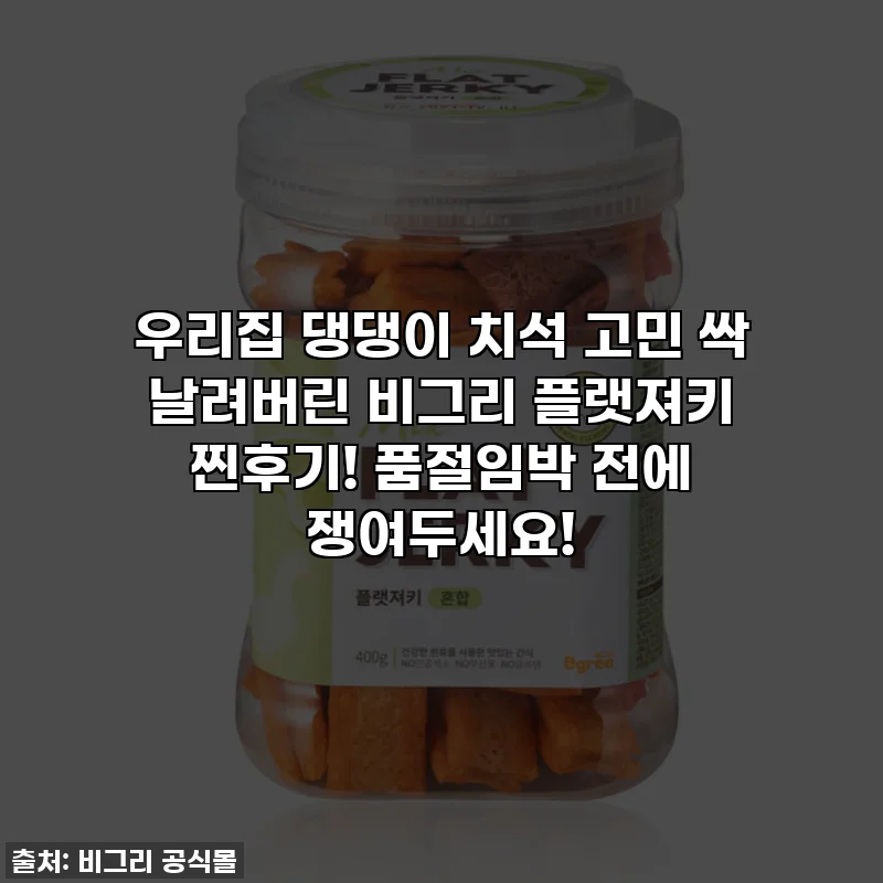 우리집 댕댕이 치석 고민 싹 날려버린 비그리 플랫져키 찐후기! 품절임박 전에 쟁여두세요!