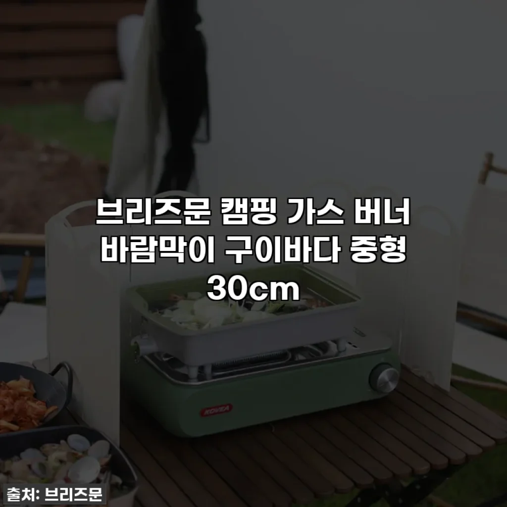 브리즈문 캠핑 가스 버너 바람막이 구이바다 중형 30cm