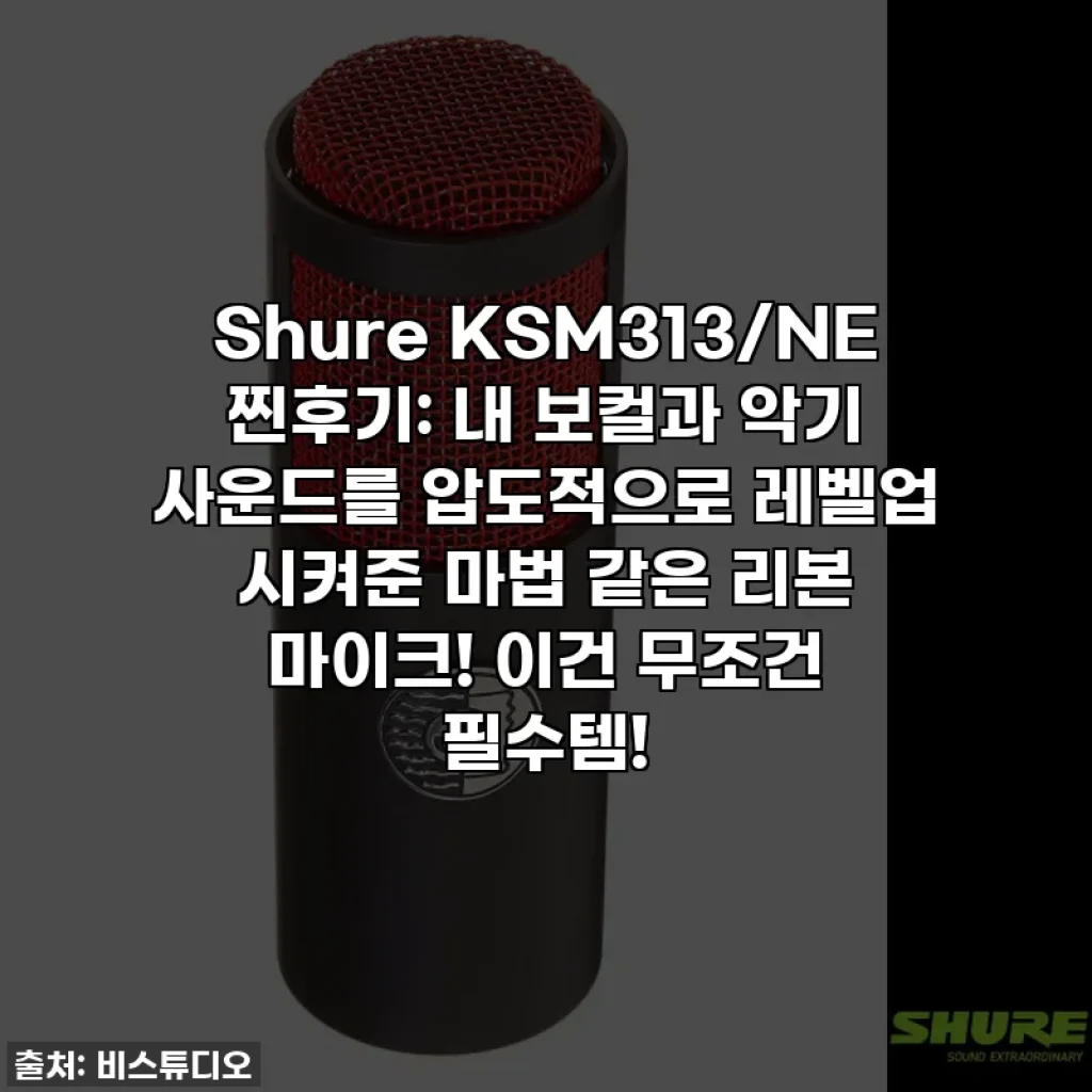 Shure KSM313/NE 찐후기: 내 보컬과 악기 사운드를 압도적으로 레벨업 시켜준 마법 같은 리본 마이크! 이건 무조건 필수템!