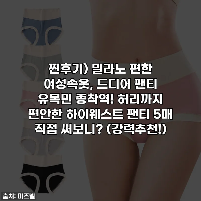 찐후기) 밀라노 편한 여성속옷, 드디어 팬티 유목민 종착역! 허리까지 편안한 하이웨스트 팬티 5매 직접 써보니? (강력추천!)