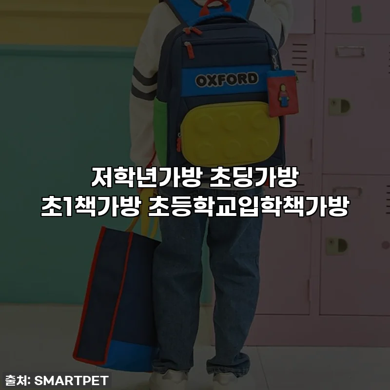 저학년가방 초딩가방 초1책가방 초등학교입학책가방