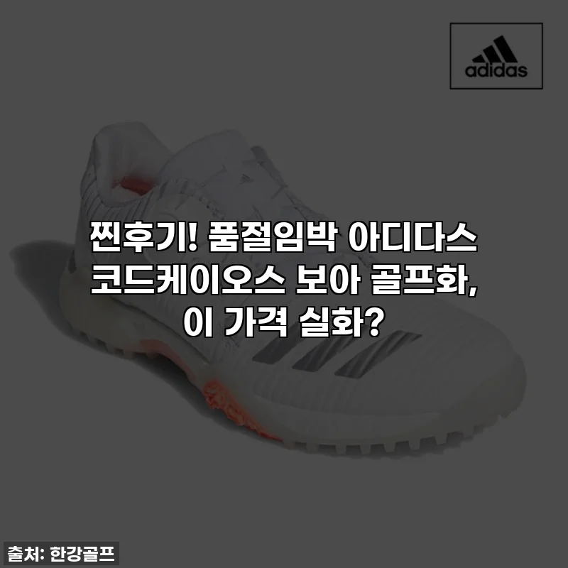 찐후기! 품절임박 아디다스 코드케이오스 보아 골프화, 이 가격 실화?