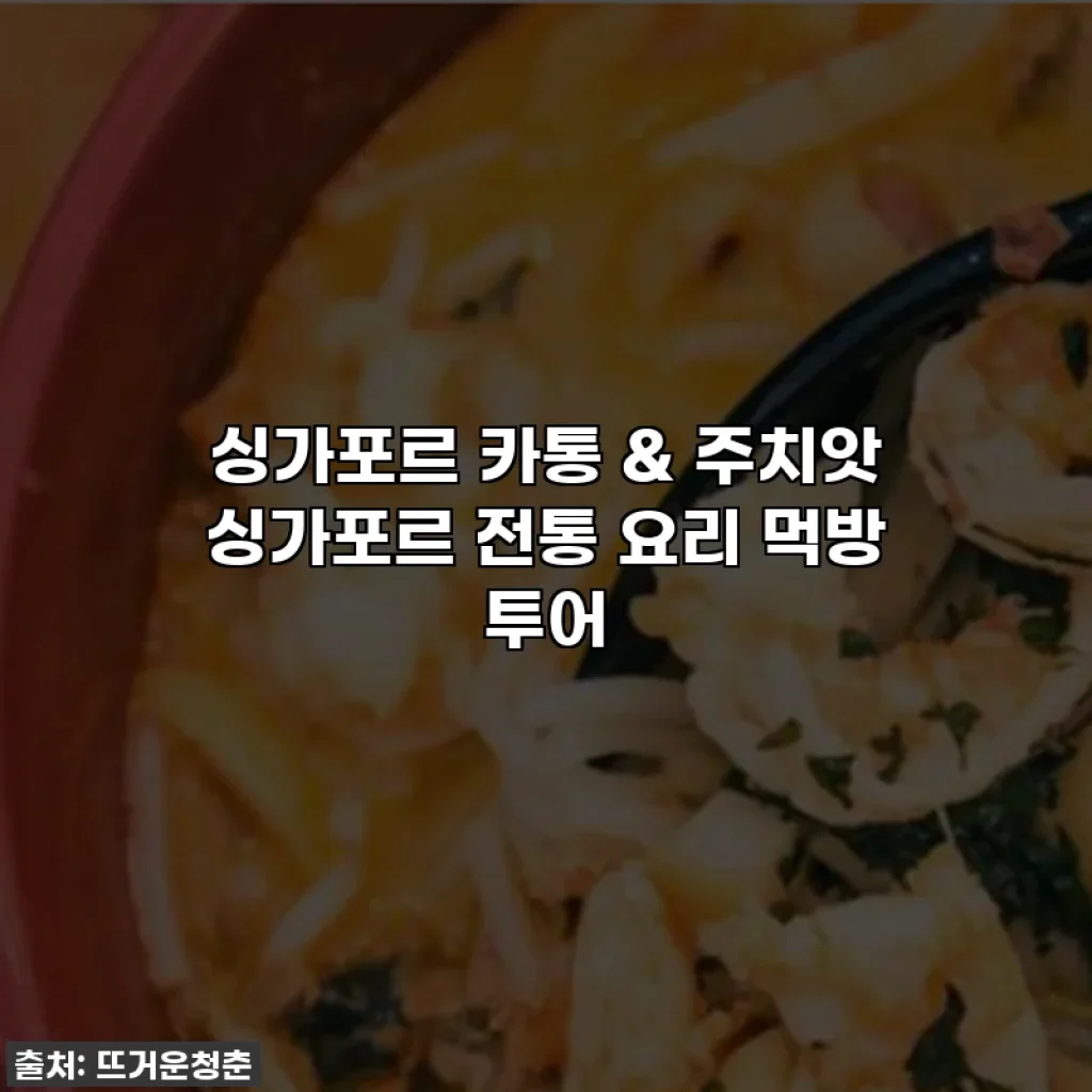 싱가포르 카통 & 주치앗 싱가포르 전통 요리 먹방 투어