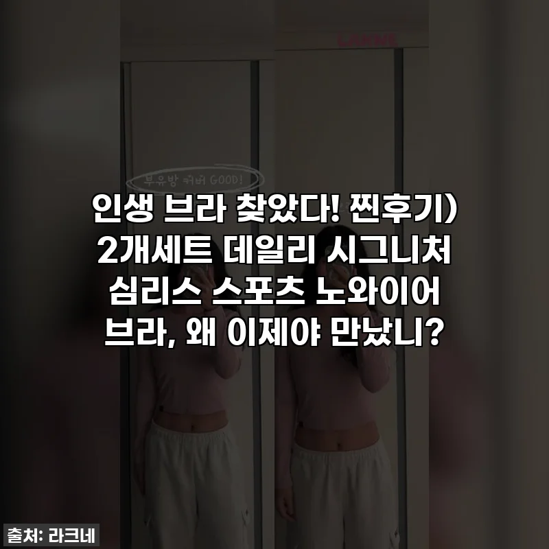 인생 브라 찾았다! 찐후기) 2개세트 데일리 시그니처 심리스 스포츠 노와이어 브라, 왜 이제야 만났니?