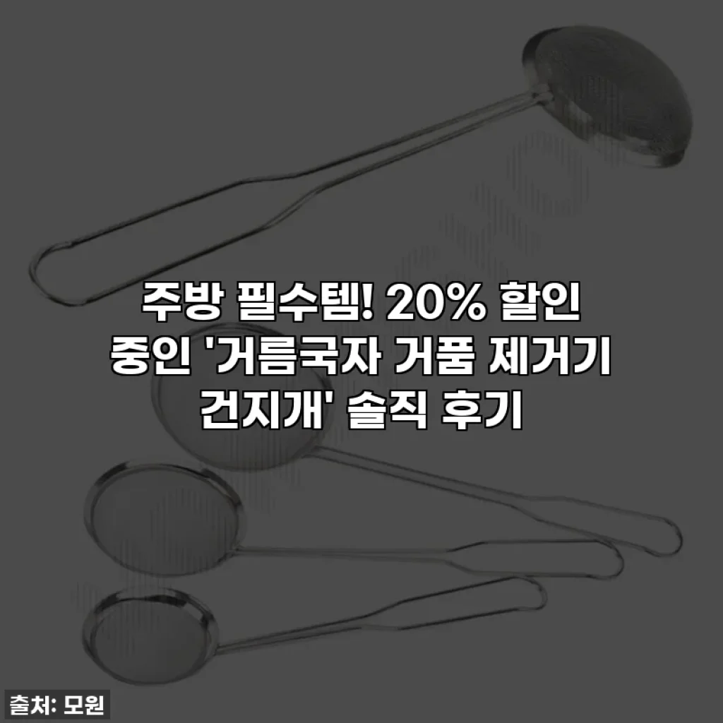 주방 필수템! 20% 할인 중인 '거름국자 거품 제거기 건지개' 솔직 후기