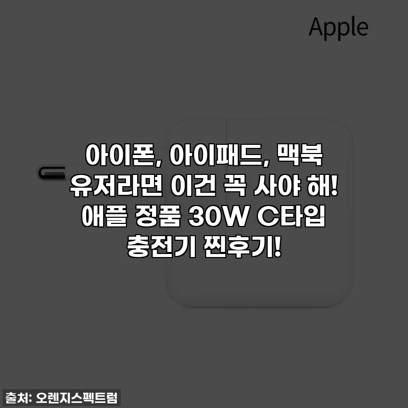 아이폰, 아이패드, 맥북 유저라면 이건 꼭 사야 해! 애플 정품 30W C타입 충전기 찐후기!