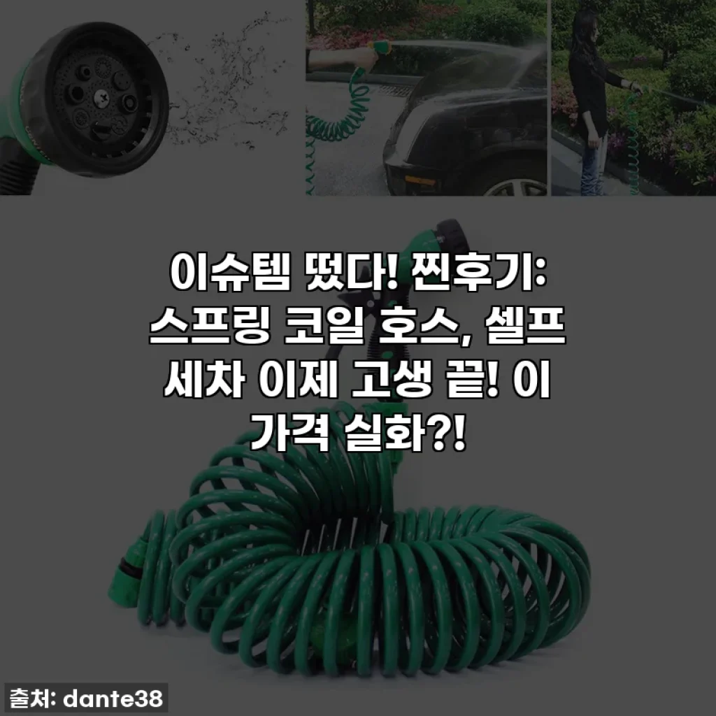 이슈템 떴다! 찐후기: 스프링 코일 호스, 셀프 세차 이제 고생 끝! 이 가격 실화?!
