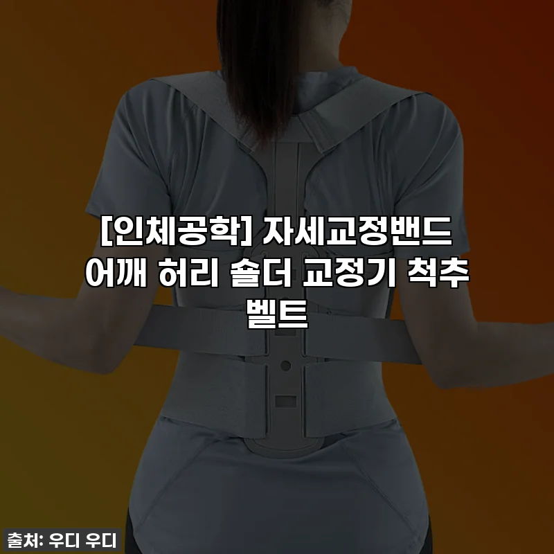 [인체공학] 자세교정밴드 어깨 허리 숄더 교정기 척추 벨트