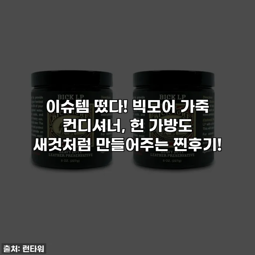 이슈템 떴다! 빅모어 가죽 컨디셔너, 헌 가방도 새것처럼 만들어주는 찐후기!
