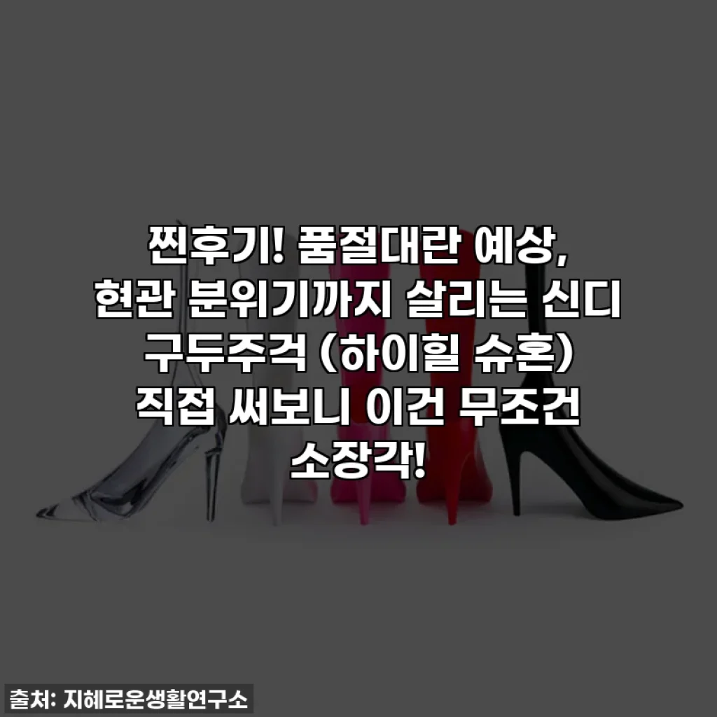 찐후기! 품절대란 예상, 현관 분위기까지 살리는 신디 구두주걱 (하이힐 슈혼) 직접 써보니 이건 무조건 소장각!