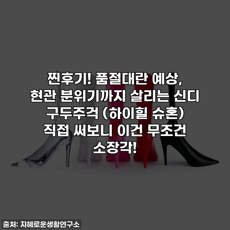 찐후기! 품절대란 예상, 현관 분위기까지 살리는 신디 구두주걱 (하이힐 슈혼) 직접 써보니 이건 무조건 소장각!