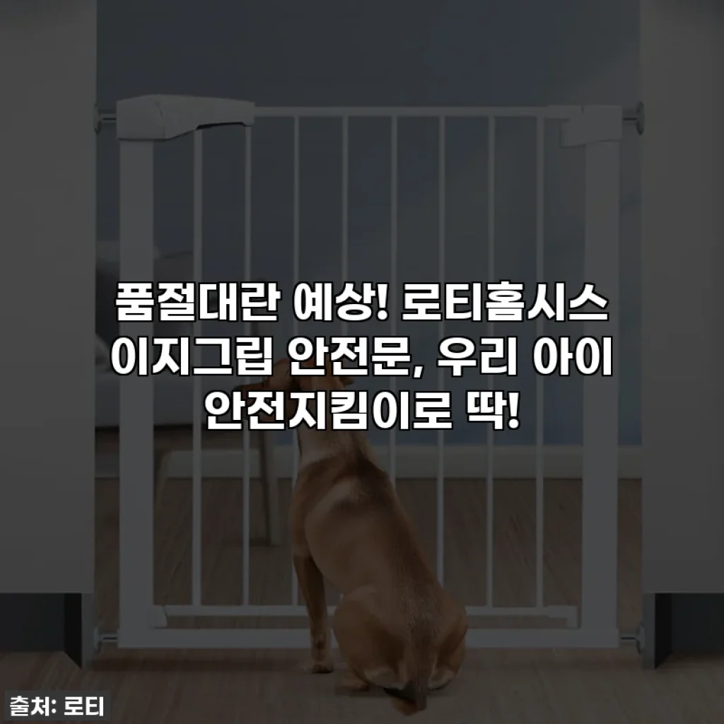 ✨품절대란 예상! 로티홈시스 이지그립 안전문, 우리 아이 안전지킴이로 딱!✨