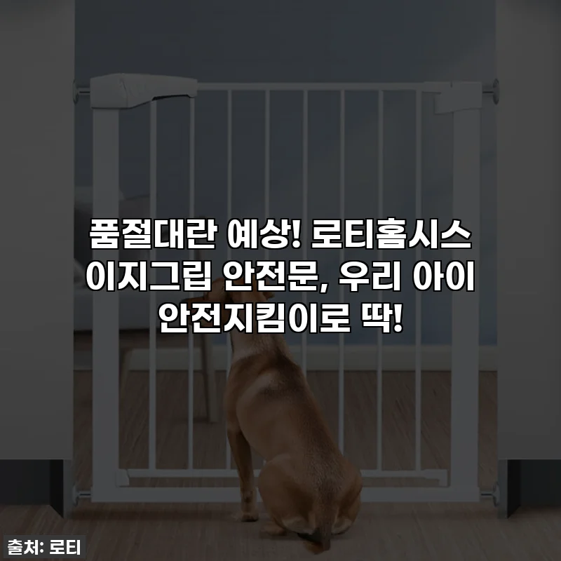 ✨품절대란 예상! 로티홈시스 이지그립 안전문, 우리 아이 안전지킴이로 딱!✨