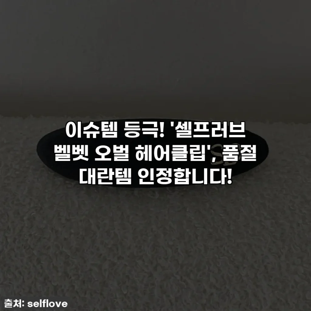 이슈템 등극! '셀프러브 벨벳 오벌 헤어클립', 품절 대란템 인정합니다! ✨