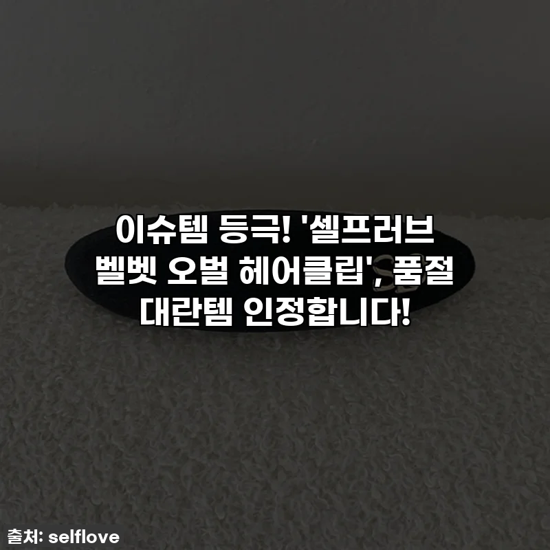 이슈템 등극! '셀프러브 벨벳 오벌 헤어클립', 품절 대란템 인정합니다! ✨