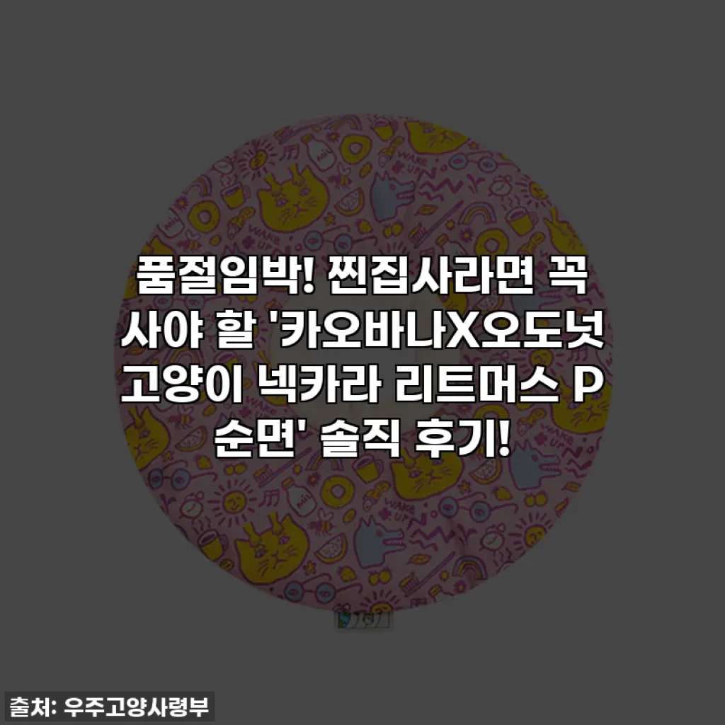 품절임박! 찐집사라면 꼭 사야 할 '카오바나X오도넛 고양이 넥카라 리트머스 P 순면' 솔직 후기!