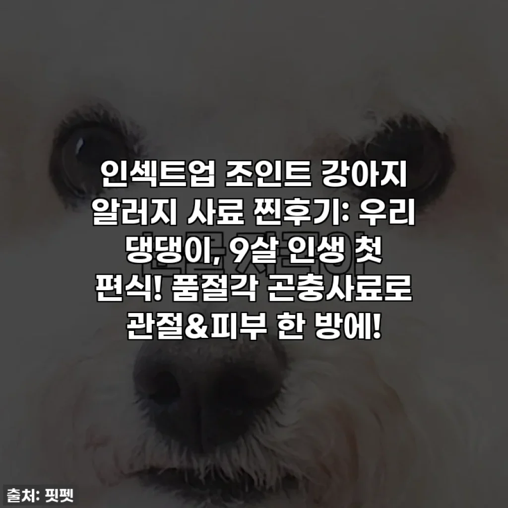 인섹트업 조인트 강아지 알러지 사료 찐후기: 우리 댕댕이, 9살 인생 첫 편식! 품절각 곤충사료로 관절&피부 한 방에!