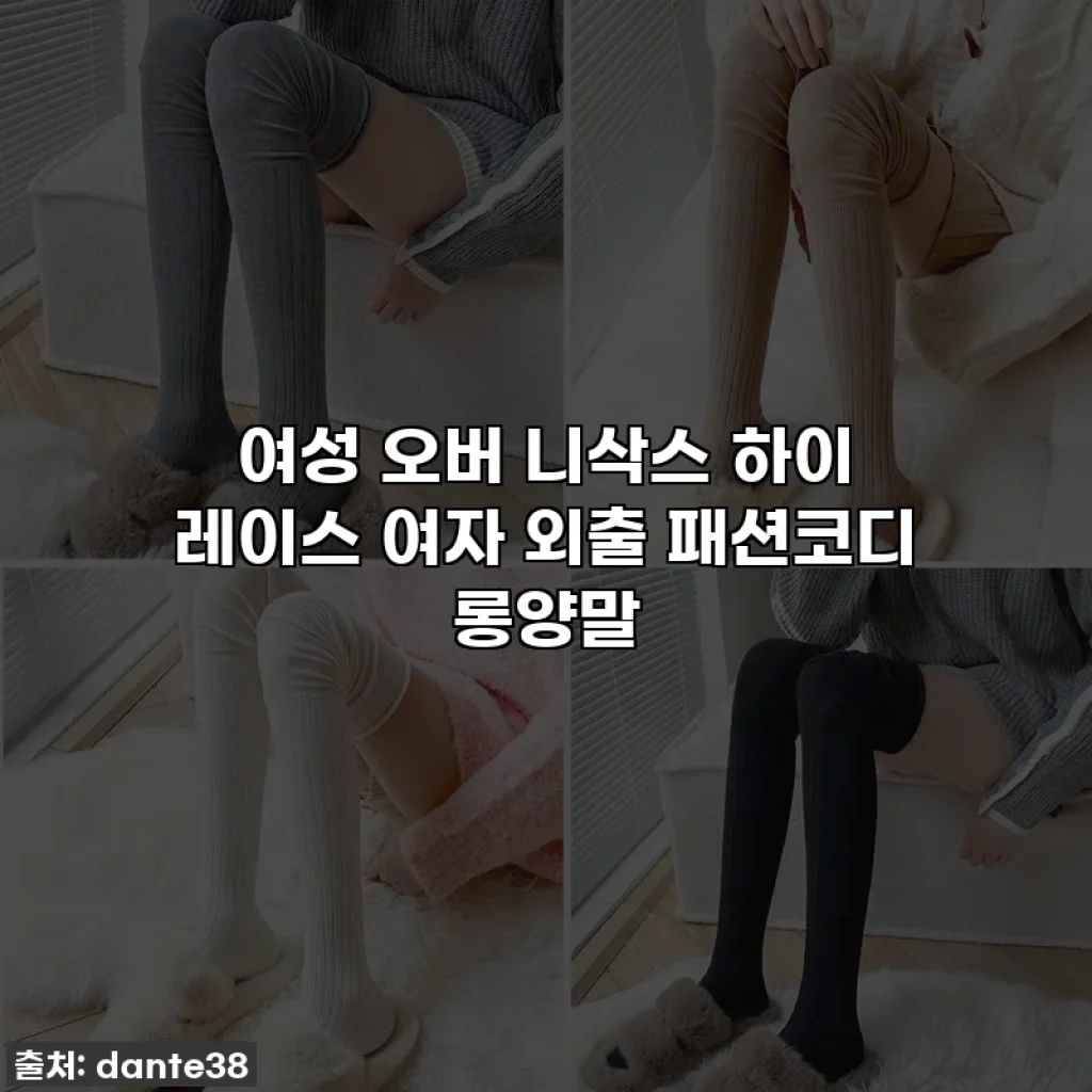 여성 오버 니삭스 하이 레이스 여자 외출 패션코디 롱양말