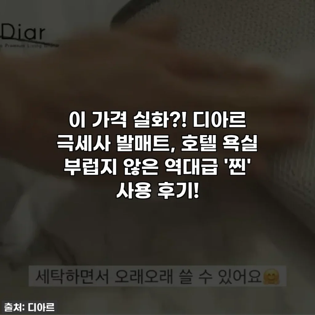 이 가격 실화?! 디아르 극세사 발매트, 호텔 욕실 부럽지 않은 역대급 '찐' 사용 후기!
