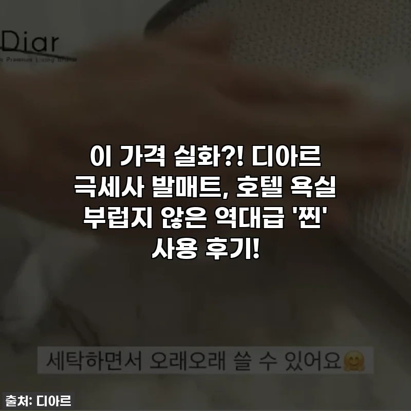 이 가격 실화?! 디아르 극세사 발매트, 호텔 욕실 부럽지 않은 역대급 '찐' 사용 후기!