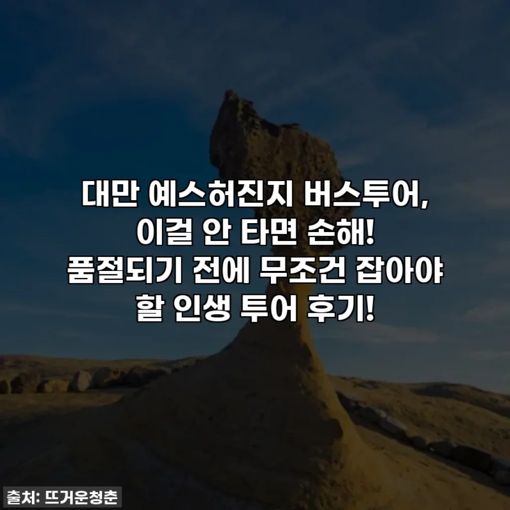 대만 예스허진지 버스투어, 이걸 안 타면 손해! 품절되기 전에 무조건 잡아야 할 인생 투어 후기!