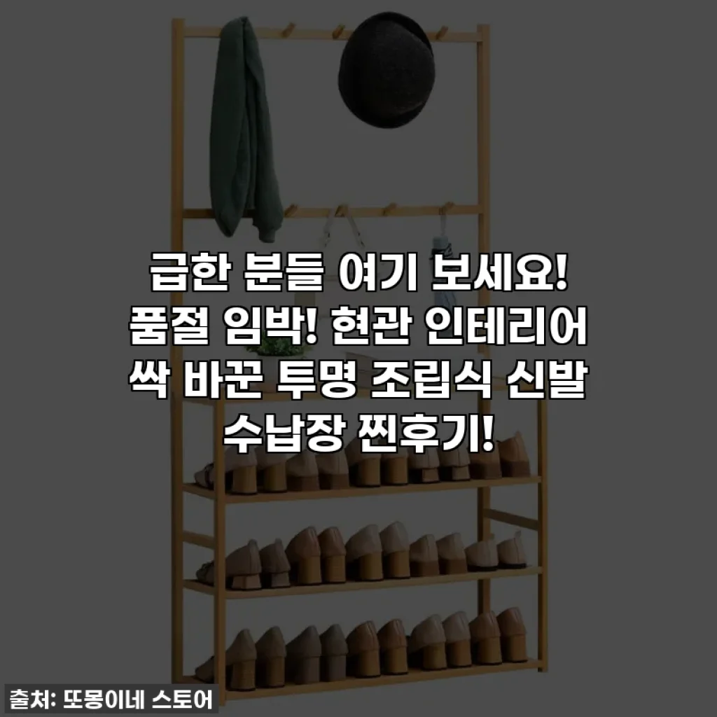 급한 분들 여기 보세요! 품절 임박! 현관 인테리어 싹 바꾼 투명 조립식 신발 수납장 찐후기!