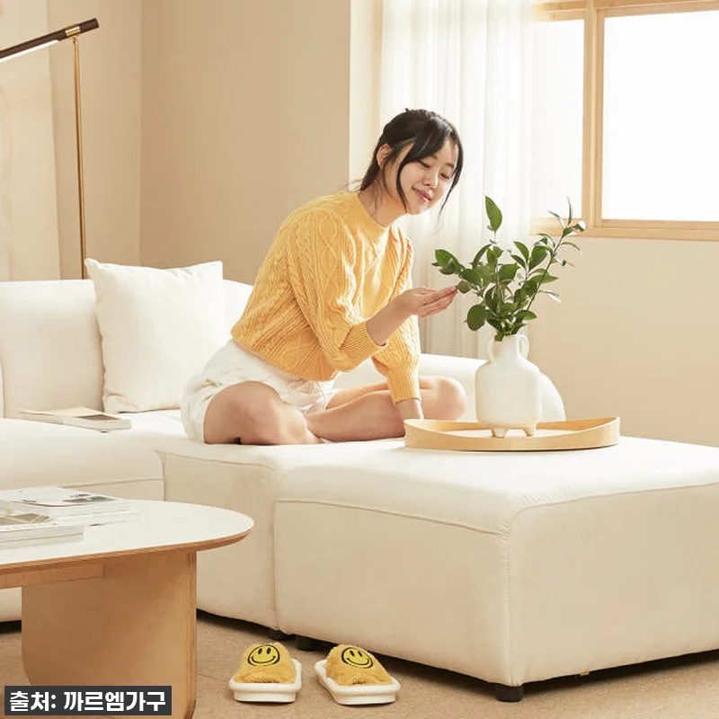 이 가격 실화?! ✨인생 소파 찾았다 관련 이미지 1