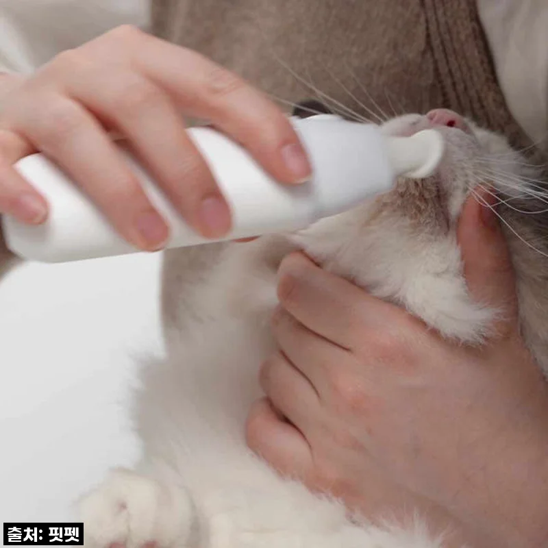 이슈템 냥쌤 고양이턱드름 클리너, 우리 냥이 턱 블랙헤드 싹쓰리! 직접 써보니 대만족 후기!