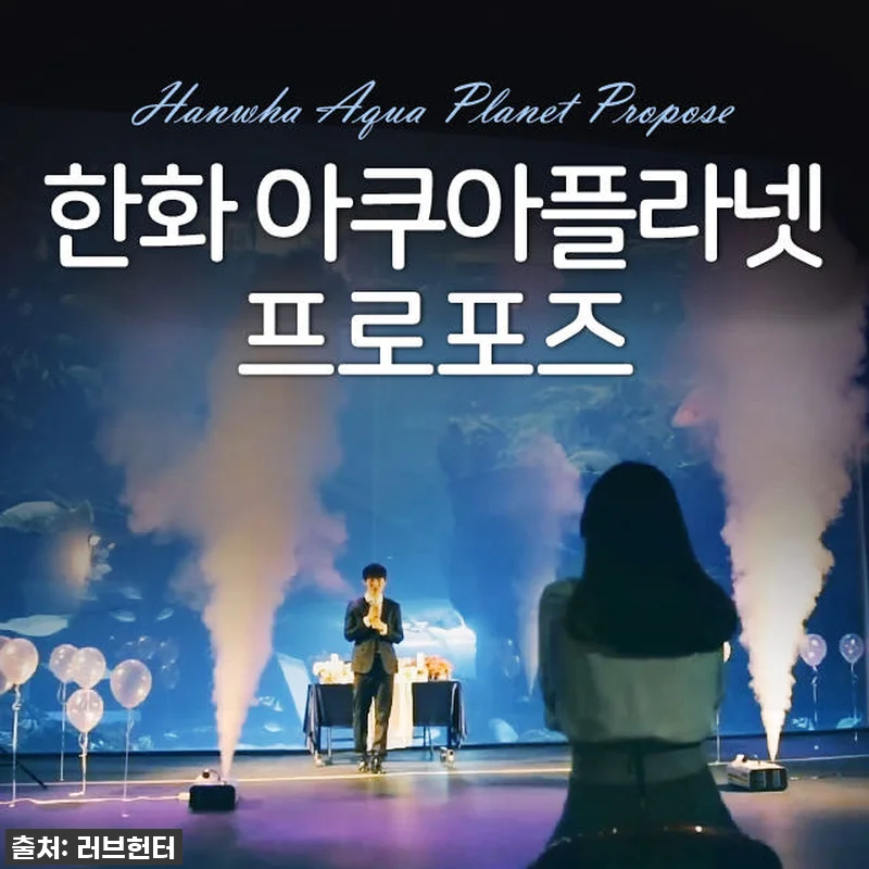 잊지 못할 감동! 한화 아쿠아플라넷 관련 이미지 1