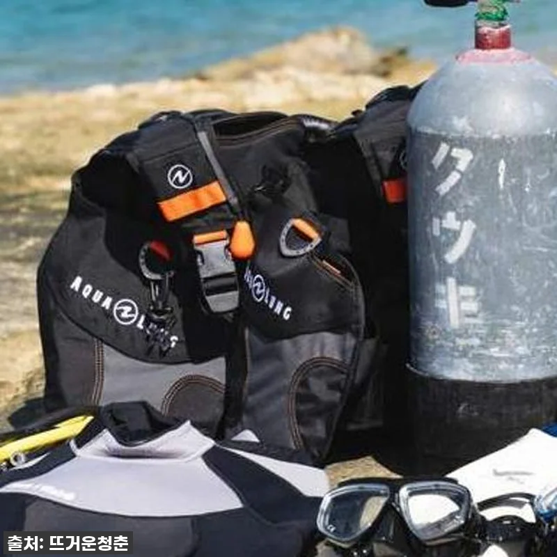 오키나와 바다 속 환상의 세계, 오픈 관련 이미지 1