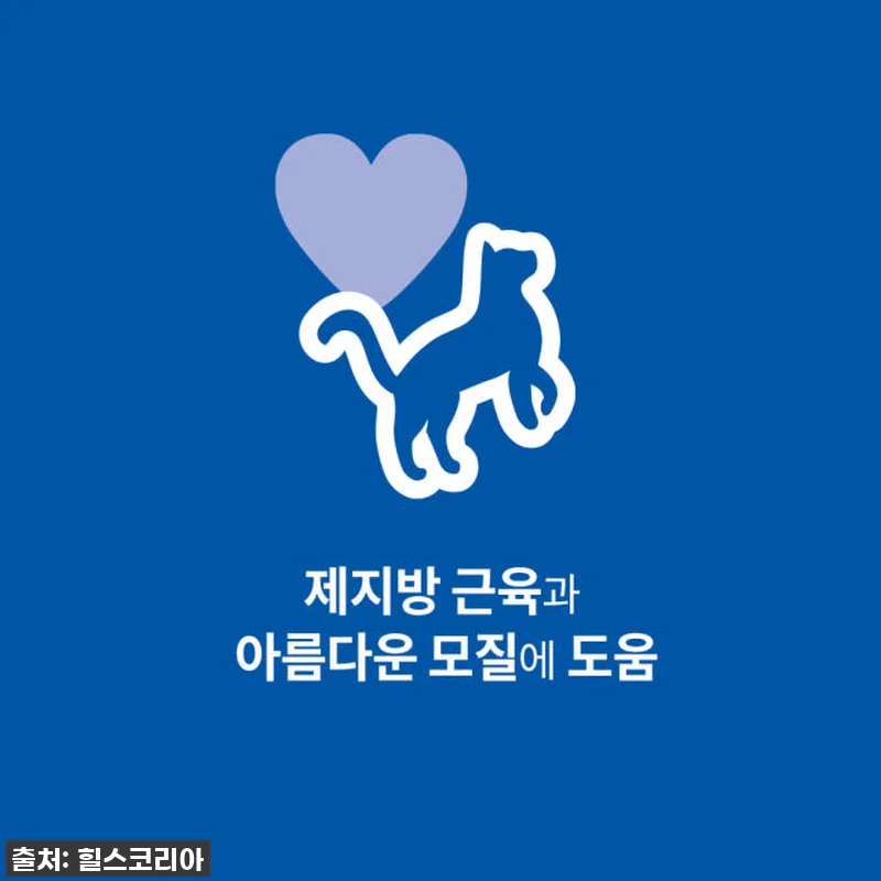 힐스 고양이사료 어덜트 10kg 대용 관련 이미지 1
