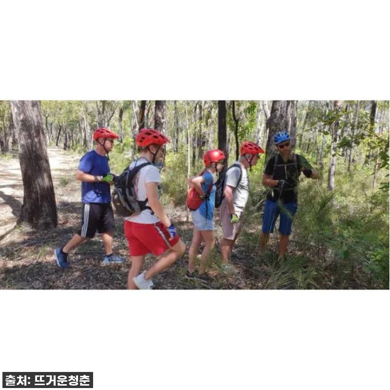 호주 시드니 블루마운틴 가이드 마운틴 관련 이미지 2