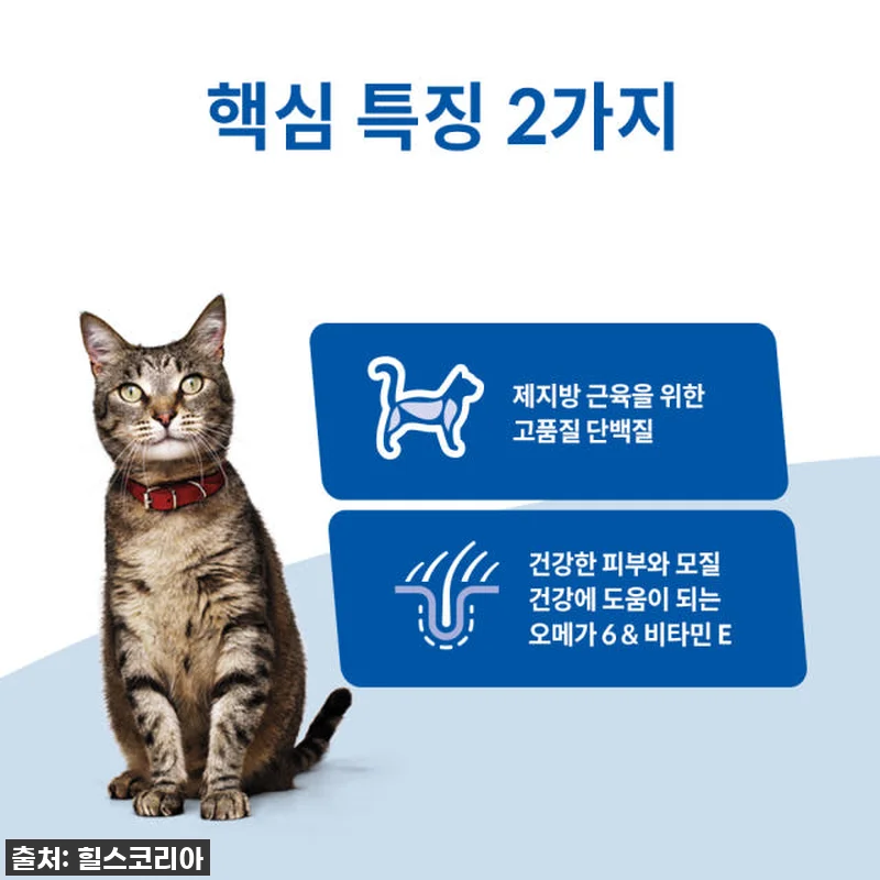 힐스 고양이사료 어덜트 10kg 대용 관련 이미지 2