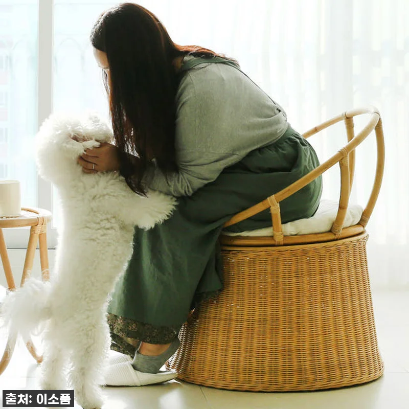 라탄 고양이집 의자 숨숨집 사용 후기 관련 이미지 2
