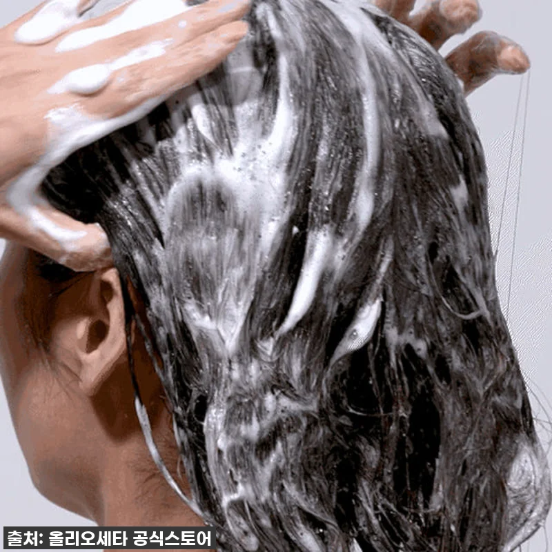 올리오세타 너리쉬 샴푸 1000ml 관련 이미지 2