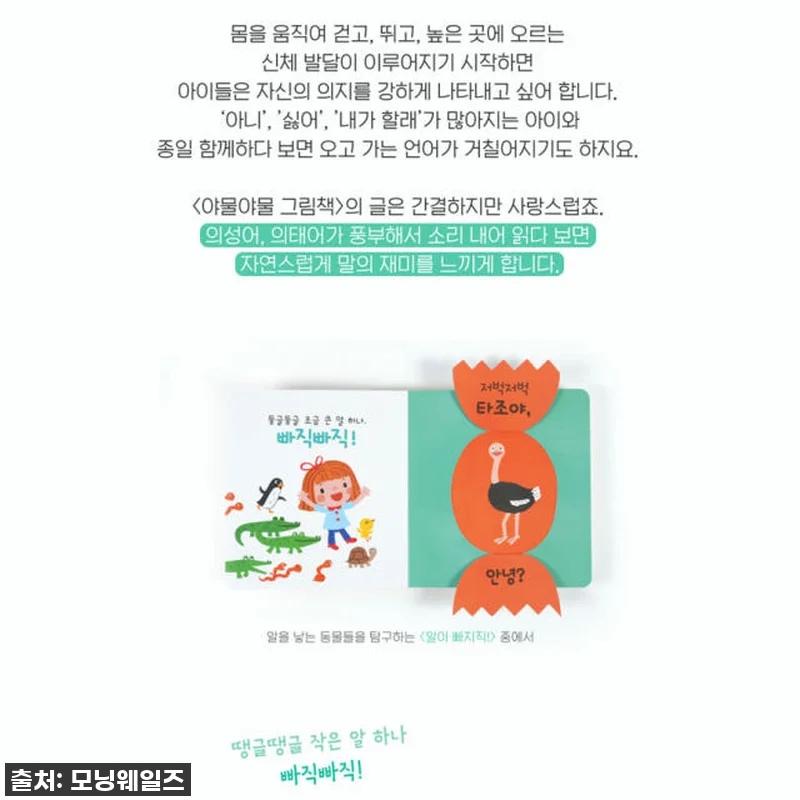 돌아기 전집 고민 끝! 별똥별 NEW 관련 이미지 4