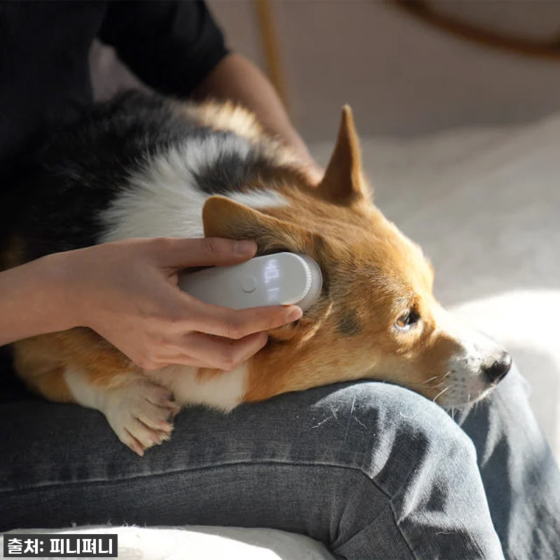 우리 댕댕이 뽀송 귀 지킴이! 디버펫 관련 이미지 4