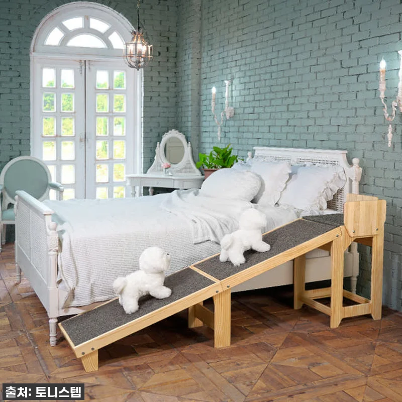 달래의 관절을 지켜준 우리 집 새 보 관련 이미지 4