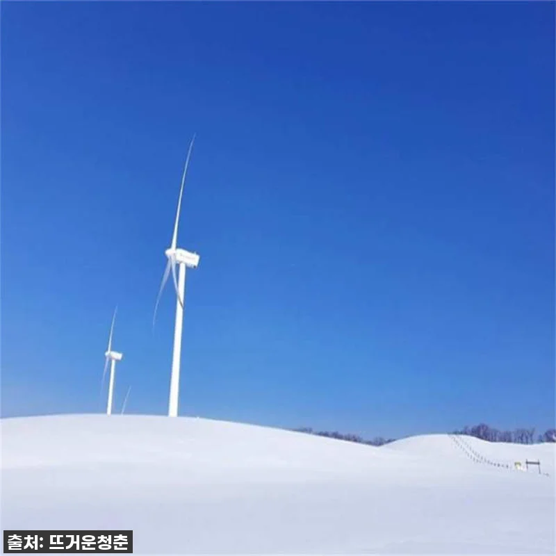 한국 서울 강원도 비발디스키장 일일투 관련 이미지 4
