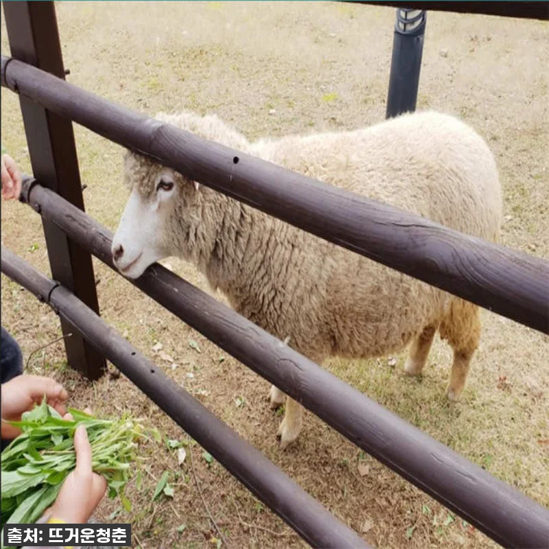 서울&middot;인천&middot;경기도 전세차량 1일 단체 관련 이미지 4