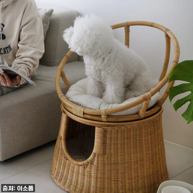 라탄 고양이집 의자 숨숨집 사용 후기 관련 이미지 4