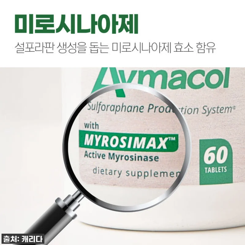 브로콜리새싹 설포라판 아브마콜 60정 관련 이미지 5