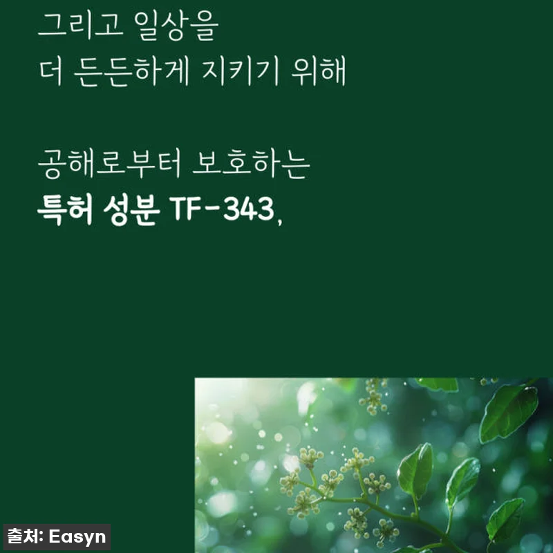 청기린 삼백초추출물 브로멜라인 TF3 관련 이미지 5