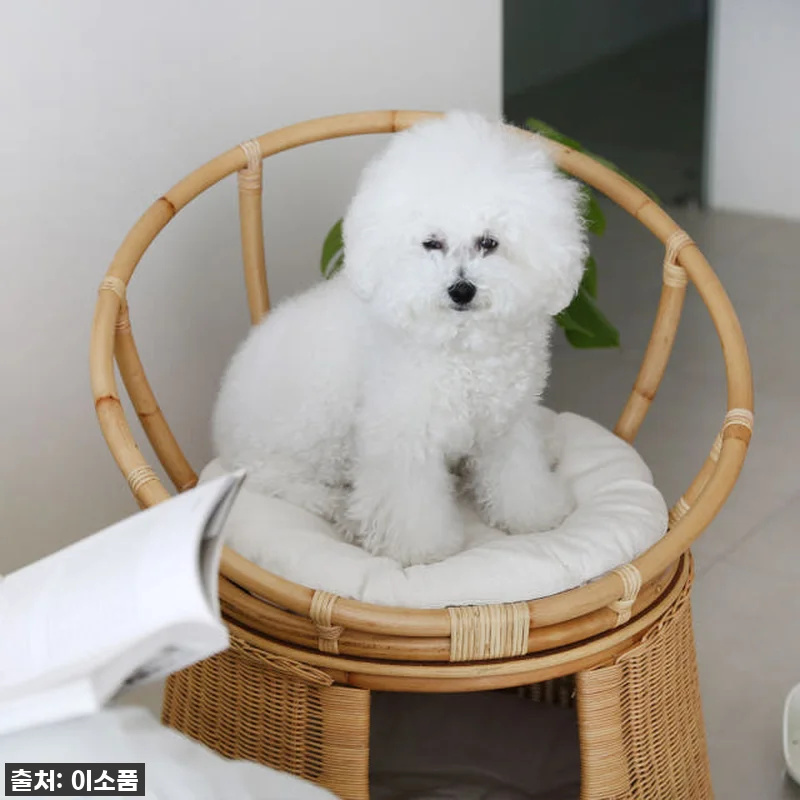 라탄 고양이집 의자 숨숨집 사용 후기 관련 이미지 6