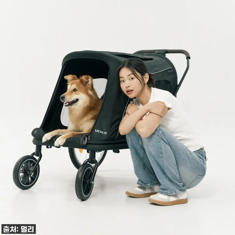 멀리 중대형견 강아지유모차 MW8 보 관련 이미지 6