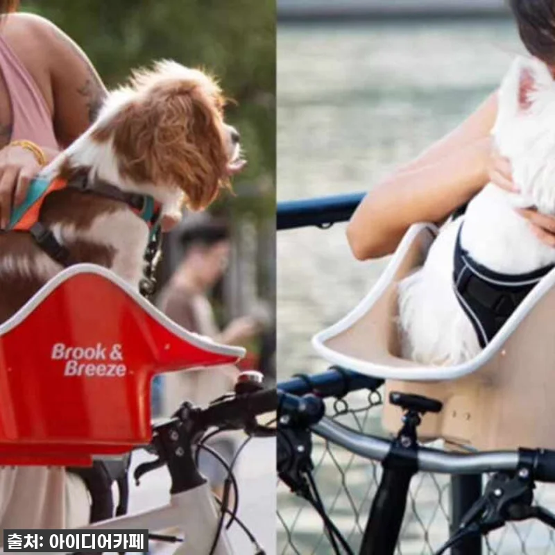 사랑하는 우리 토리와 함께 바람 가르 관련 이미지 10