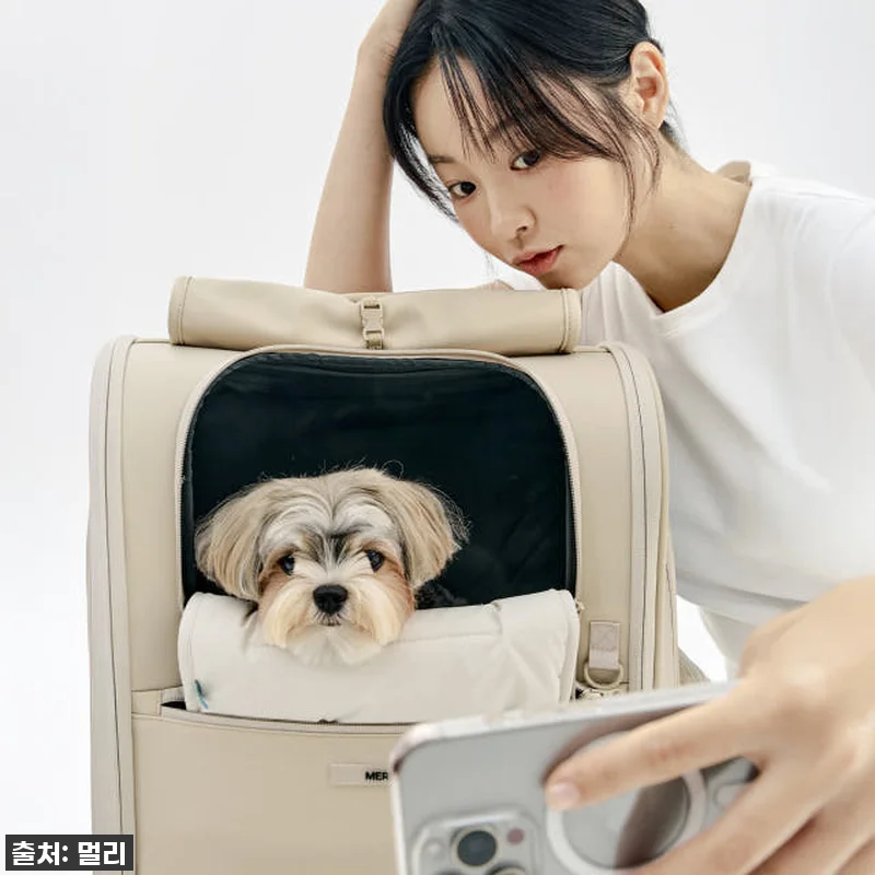 멀리 강아지 이동가방 마일러백팩 사용 관련 이미지 9